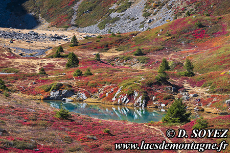 Lac Culasson (2050m)
(Le Taillefer, Isre)
Clich Dominique SOYEZ
Copyright Reproduction interdite sans autorisation