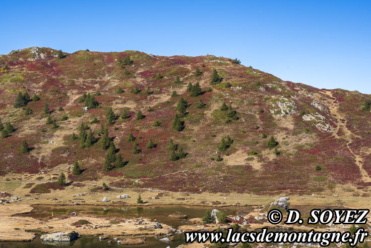 Photo n202510018
Lac Noir (2040m) (Le Taillefer, Isre)
Clich Dominique SOYEZ
Copyright Reproduction interdite sans autorisation