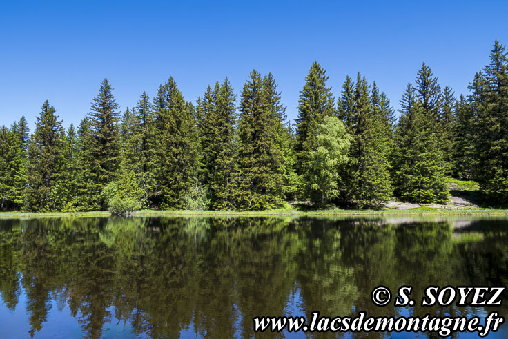 Photo n°202606004
Cliché Serge SOYEZ
Copyright Reproduction interdite sans autorisation Photo n°202606004
Lac Punay (1692m) (Taillefer, Isère)
Cliché Serge SOYEZ
Copyright Reproduction interdite sans autorisation