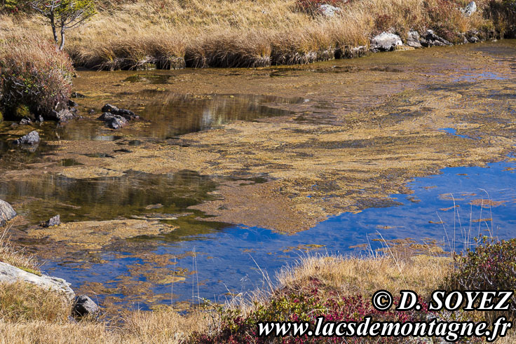 Photo n202510023
Lac de la Veche (2028m) (Taillefer, Isre)
Clich Dominique SOYEZ
Copyright Reproduction interdite sans autorisation