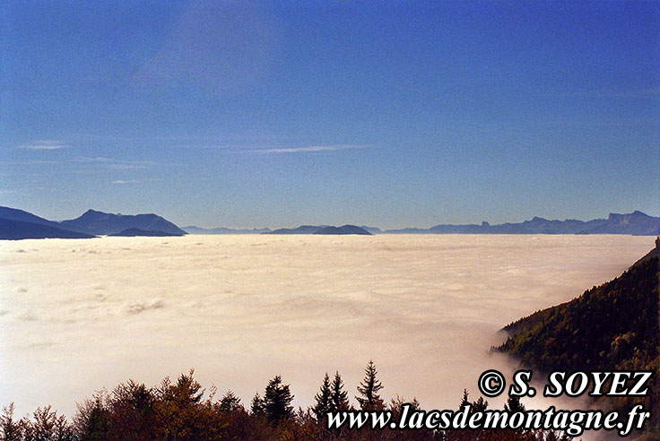 Mer de nuages sur la valle du Grsivaudan
Clich Serge SOYEZ
Copyright Reproduction interdite sans autorisation
