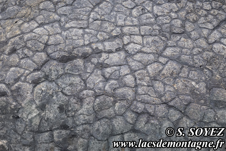 Photo n°202504001
Cliché Serge SOYEZ
Copyright Reproduction interdite sans autorisation Photo n°202504001
Polygones de dessiccation.
Site à pistes de dinosaures à Loulle dans le Jura. Lieu-dit le Bois-Aux-Salpêtriers - D253 39300 LOULLE
Cliché Serge SOYEZ
Copyright Reproduction interdite sans autorisation