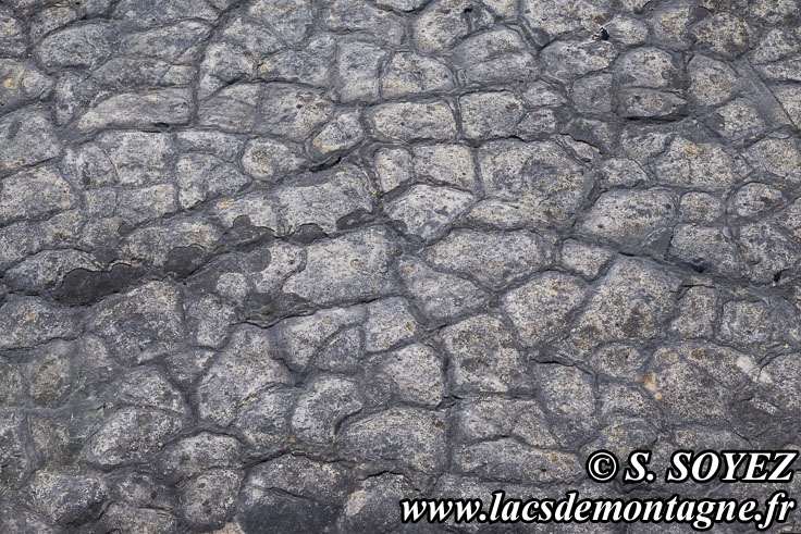 Photo n°202504002
Cliché Serge SOYEZ
Copyright Reproduction interdite sans autorisation Photo n°202504002
Polygones de dessiccation.
Site à pistes de dinosaures à Loulle dans le Jura. Lieu-dit le Bois-Aux-Salpêtriers - D253 39300 LOULLE
Cliché Serge SOYEZ
Copyright Reproduction interdite sans autorisation