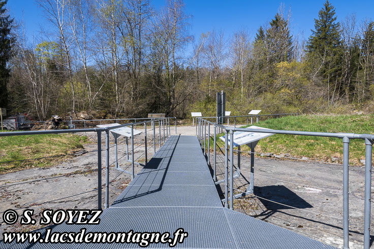 Photo n°202504008
Cliché Serge SOYEZ
Copyright Reproduction interdite sans autorisation Photo n°202504008
Site à pistes de dinosaures à Loulle dans le Jura. Lieu-dit le Bois-Aux-Salpêtriers - D253 39300 LOULLE
Cliché Serge SOYEZ
Copyright Reproduction interdite sans autorisation