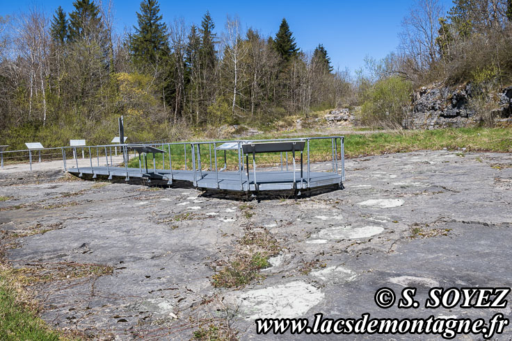 Photo n°202504011
Cliché Serge SOYEZ
Copyright Reproduction interdite sans autorisation Photo n°202504011
Site à pistes de dinosaures à Loulle dans le Jura. Lieu-dit le Bois-Aux-Salpêtriers - D253 39300 LOULLE
Cliché Serge SOYEZ
Copyright Reproduction interdite sans autorisation