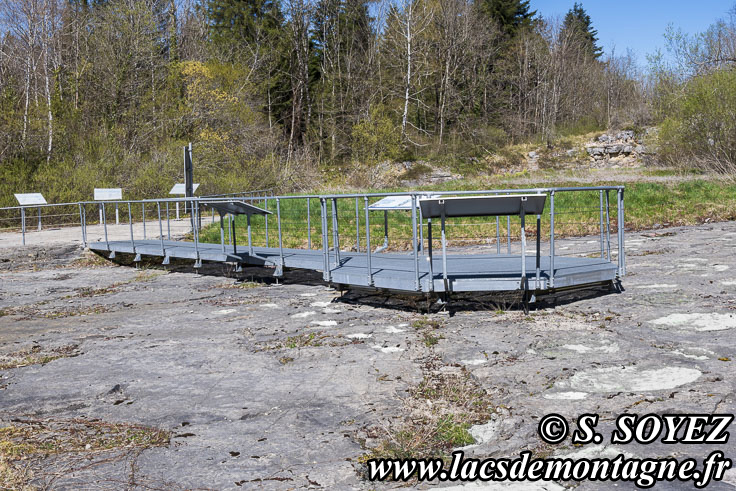 Photo n°202504012
Cliché Serge SOYEZ
Copyright Reproduction interdite sans autorisation Photo n°202504012
Site à pistes de dinosaures à Loulle dans le Jura. Lieu-dit le Bois-Aux-Salpêtriers - D253 39300 LOULLE
Cliché Serge SOYEZ
Copyright Reproduction interdite sans autorisation