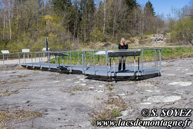 Photo n°202504013
Cliché Serge SOYEZ
Copyright Reproduction interdite sans autorisation Photo n°202504013
Site à pistes de dinosaures à Loulle dans le Jura. Lieu-dit le Bois-Aux-Salpêtriers - D253 39300 LOULLE
Cliché Serge SOYEZ
Copyright Reproduction interdite sans autorisation