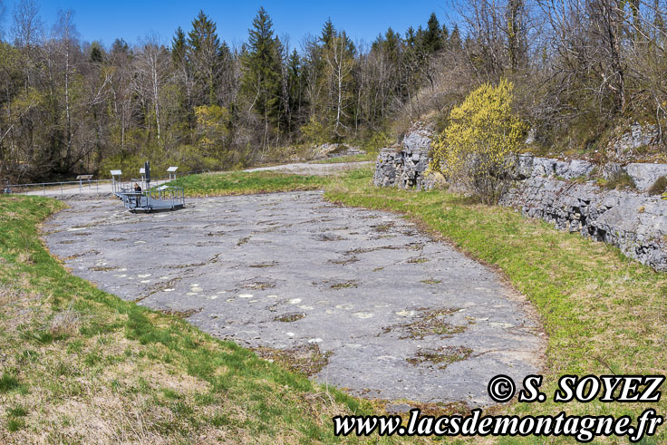 Photo n°202504018
Cliché Serge SOYEZ
Copyright Reproduction interdite sans autorisation Photo n°202504018
Site à pistes de dinosaures à Loulle dans le Jura. Lieu-dit le Bois-Aux-Salpêtriers - D253 39300 LOULLE
Cliché Serge SOYEZ
Copyright Reproduction interdite sans autorisation