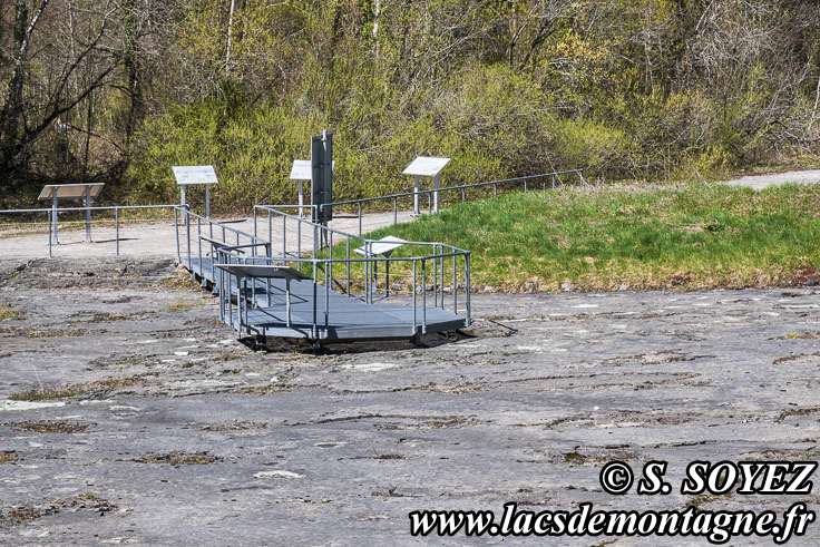 Photo n°202504020
Cliché Serge SOYEZ
Copyright Reproduction interdite sans autorisation Photo n°202504020
Site à pistes de dinosaures à Loulle dans le Jura. Lieu-dit le Bois-Aux-Salpêtriers - D253 39300 LOULLE
Cliché Serge SOYEZ
Copyright Reproduction interdite sans autorisation