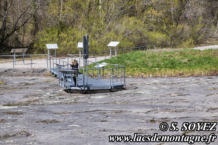 Photo n°202504021
Cliché Serge SOYEZ
Copyright Reproduction interdite sans autorisation Photo n°202504021
Site à pistes de dinosaures à Loulle dans le Jura. Lieu-dit le Bois-Aux-Salpêtriers - D253 39300 LOULLE
Cliché Serge SOYEZ
Copyright Reproduction interdite sans autorisation