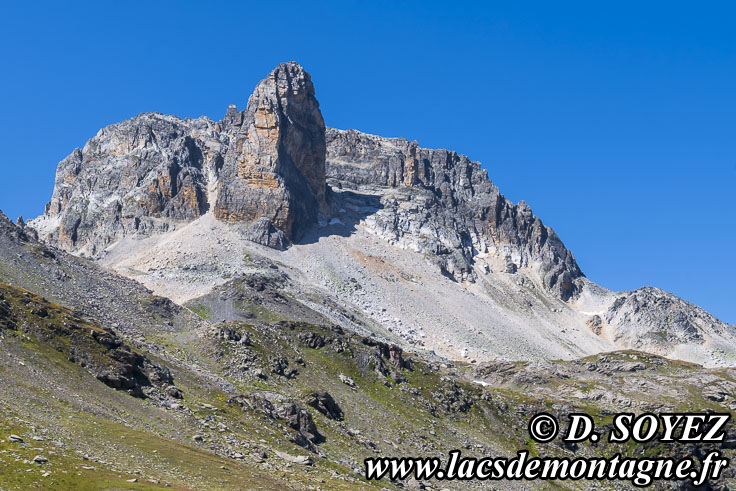 Photo n202407153
FACE EST du Cheval Blanc (3020m) (Mont Thabor, Savoie)
Clich Dominique SOYEZ
Copyright Reproduction interdite sans autorisation