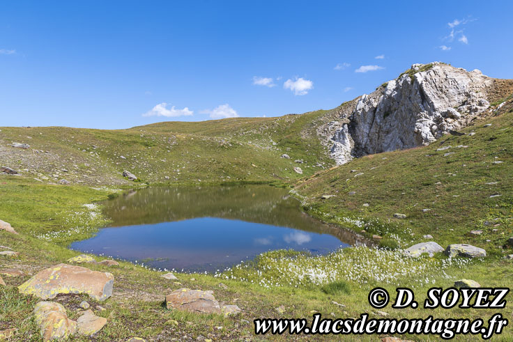 Photo n202407157
Lac Sainte Marguerite (Rond) (2508m) (Mont Thabor, Savoie)
Clich Dominique SOYEZ
Copyright Reproduction interdite sans autorisation