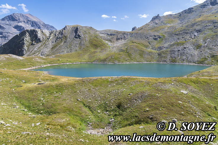 Photo n202407159
Lac Sainte Marguerite (Rond) (2508m) (Mont Thabor, Savoie)
Clich Dominique SOYEZ
Copyright Reproduction interdite sans autorisation