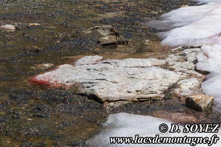 Photo n�202307116
Clich� Dominique SOYEZ
Copyright Reproduction interdite sans autorisation