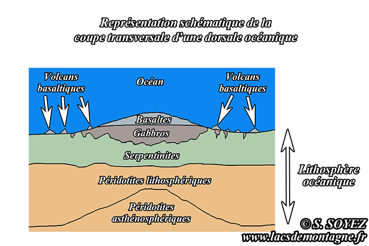 Dorsale oc�anique
Serge SOYEZ
Copyright Reproduction interdite sans autorisation